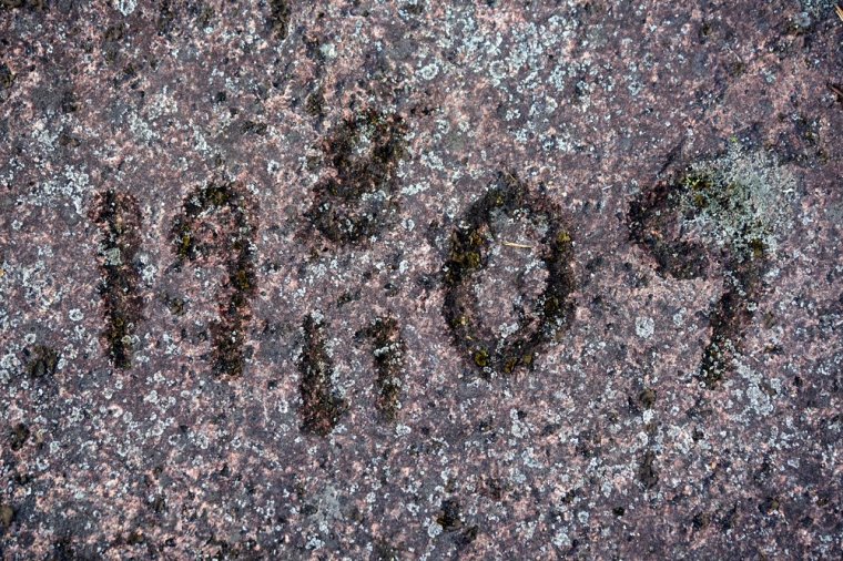 1-DSC00501 – Kopio