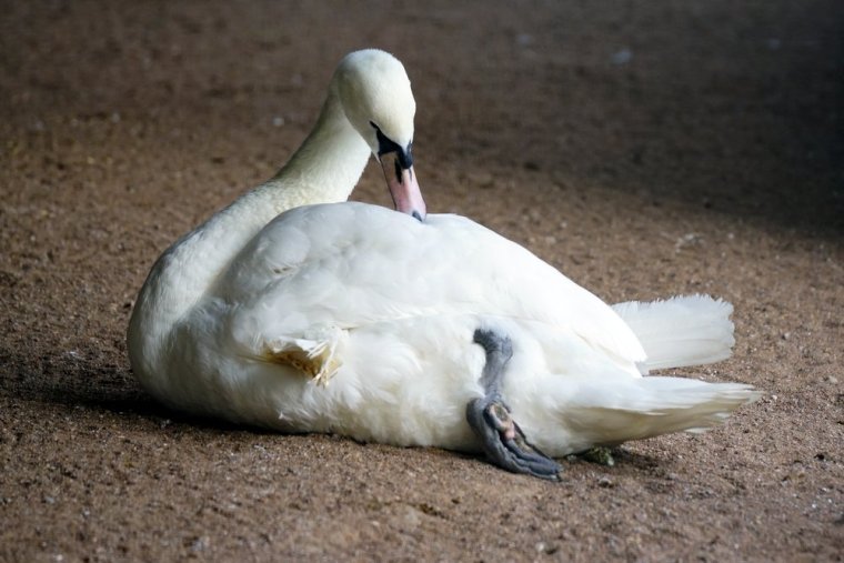 29-DSC03059 – Kopio